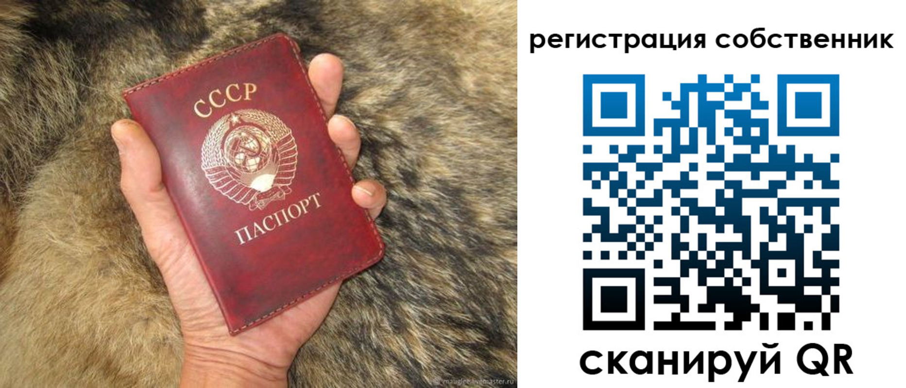 прописка 2025 в Шарыпово